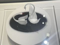 -BLACKSWAN黑天鹅(环球店)