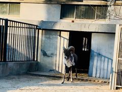 景点-北京动物园