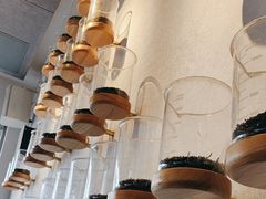 -喜茶(上海打浦桥日月光gelato lab+店)