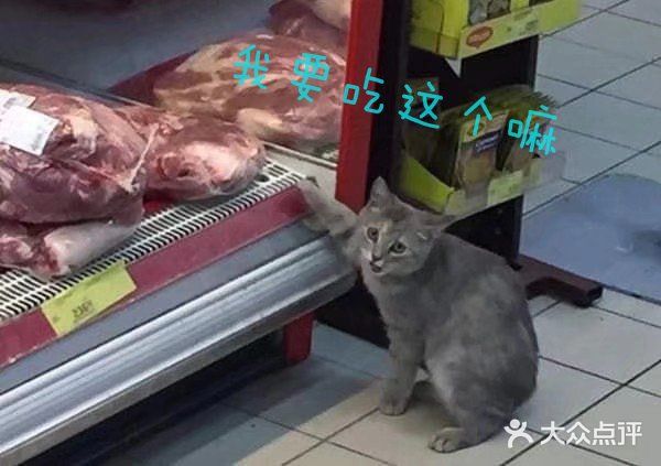 #金拱门新品！心冻角#