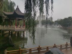 -金城公园