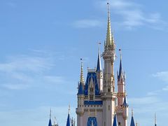 -奥兰多迪士尼动物王国乐园