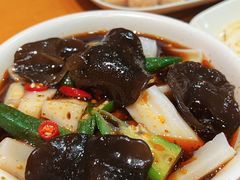 麻辣藕-老康火锅(桥南街店)