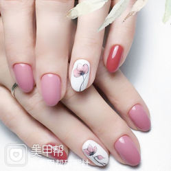 -恐龙·美甲美睫