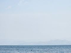 -洱海月湿地公园