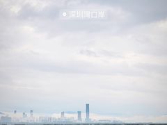 -深圳湾公园(南山区)