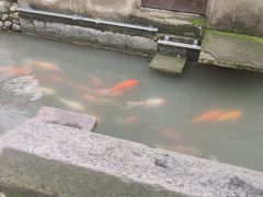 -前童古镇