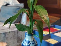 -北京饭店谭家菜