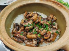 -红星光发煲仔饭(文海店)