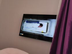 -海豚湾高端月子会所(黄浦店)