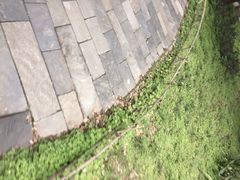 iphone_upload_pic-东湖落雁景区