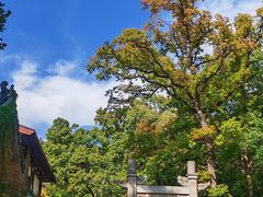 -灵谷景区