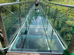 -陶祖圣境风景区