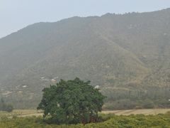 -开平碉楼文化旅游区马降龙景区