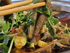 -高坎一品甲鱼庄(两河店)