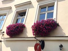 -Kampa Park Restaurant
