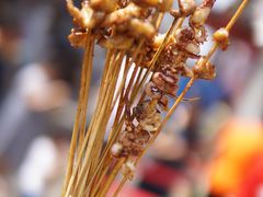 -文和友老长沙臭豆腐(太平街二店)