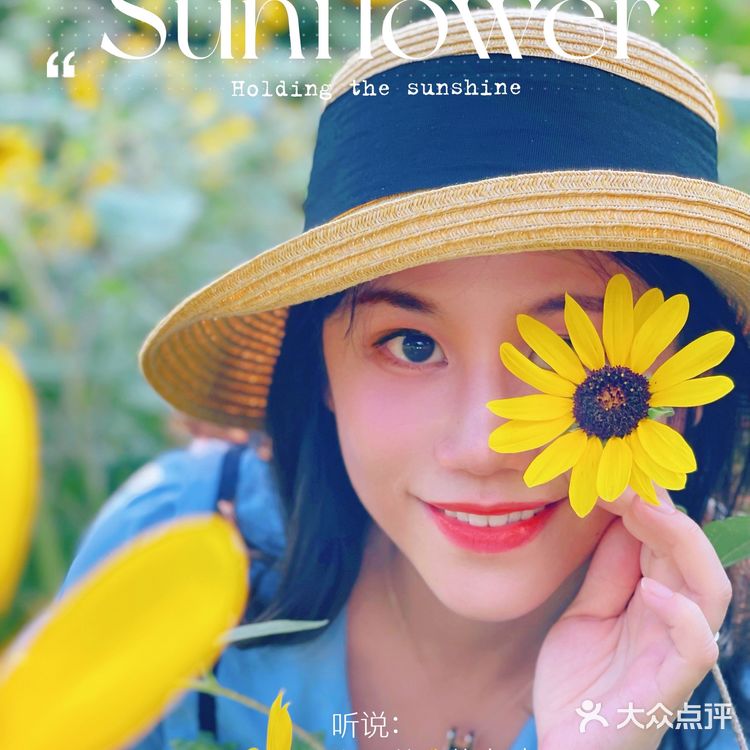 市中心的“向日葵”花田真的是🌻吗？