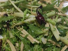 -煎饼卷大葱·非遗传承·潍坊菜(十笏园店)