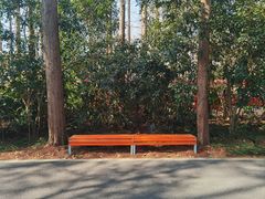 -东平国家森林公园