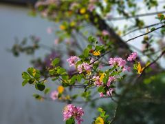 -丝绸小镇荻港古村