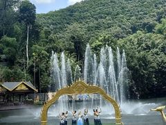 -西双版纳原始森林公园