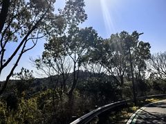 -宝界山林公园