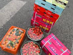 -南京众彩农副产品配送有限公司