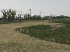 -春花秋色城市公园