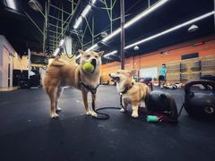 -BiM综合体能训练中心(漕河泾绿洲馆)
