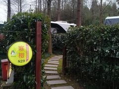 -崇明东平国家森林公园烧烤房车露营地