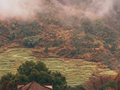 -篁岭景区