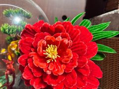 -南京民俗博物馆(甘熙故居)