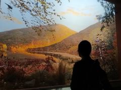 -美国自然历史博物馆