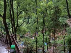 -巴倒烫陆派火锅山庄(南山总店)