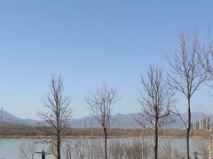 -永定河休闲森林公园
