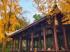 -成都杜甫草堂博物馆