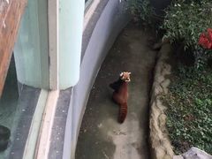 -南昌动物园