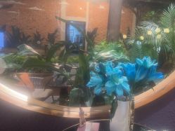 -花隐·美芙炫海菲秀皮肤管理中心