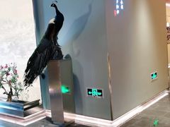 -俏江南天津时尚曲艺主题餐厅(马场道店)