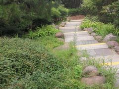 -西安青龙寺遗址景区