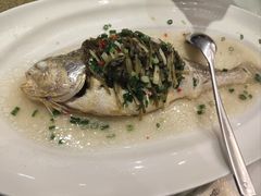 -老洋房花园饭店(绍兴路店)