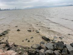 -深圳湾公园(南山区)