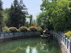 -冶父山国家森林公园