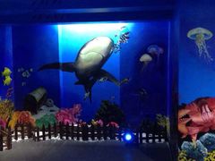 -船奇蒸汽海鲜·闽菜(八市海鲜总店)