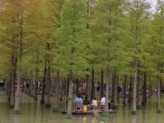-泗洪洪泽湖湿地景区