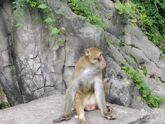-黔灵山公园