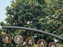 -中国科学院西双版纳热带植物园