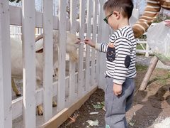 -前小桔亲子创意农场·草莓采摘·露营烧烤
