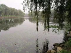 -东坝千亩湖公园